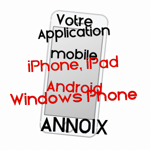 application mobile à ANNOIX / CHER