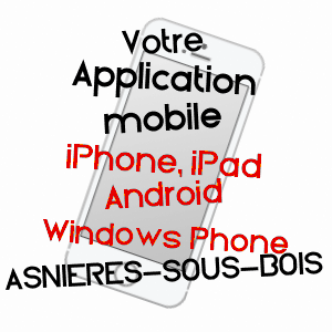 application mobile à ASNIèRES-SOUS-BOIS / YONNE