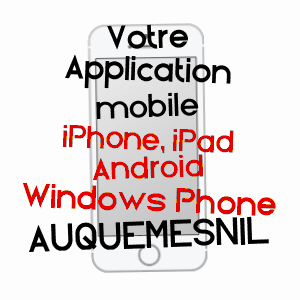application mobile à AUQUEMESNIL / SEINE-MARITIME