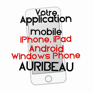 application mobile à AURIBEAU / VAUCLUSE