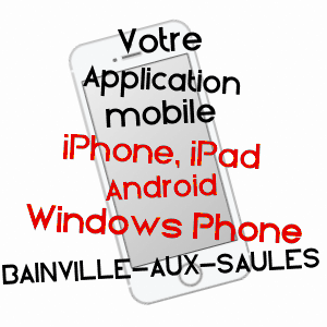 application mobile à BAINVILLE-AUX-SAULES / VOSGES