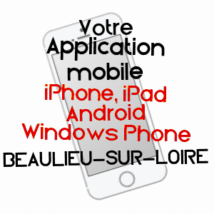 application mobile à BEAULIEU-SUR-LOIRE / LOIRET