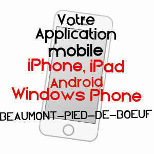 application mobile à BEAUMONT-PIED-DE-BOEUF / SARTHE