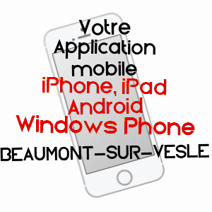 application mobile à BEAUMONT-SUR-VESLE / MARNE