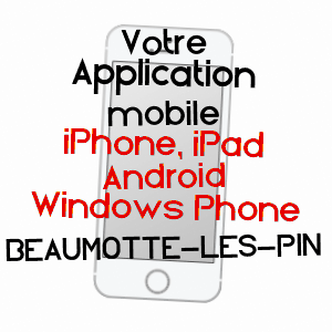 application mobile à BEAUMOTTE-LèS-PIN / HAUTE-SAôNE