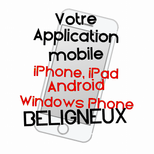 application mobile à BéLIGNEUX / AIN