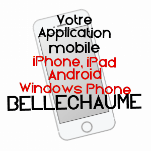 application mobile à BELLECHAUME / YONNE