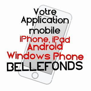 application mobile à BELLEFONDS / VIENNE