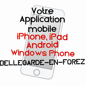 application mobile à BELLEGARDE-EN-FOREZ / LOIRE