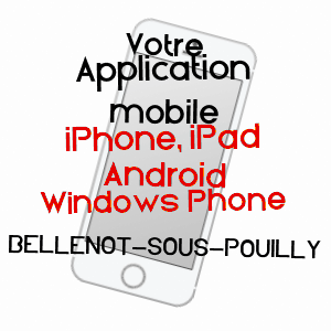 application mobile à BELLENOT-SOUS-POUILLY / CôTE-D'OR