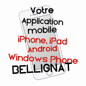 application mobile à BELLIGNAT / AIN