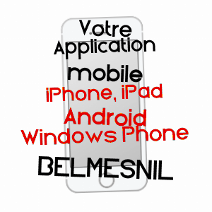 application mobile à BELMESNIL / SEINE-MARITIME