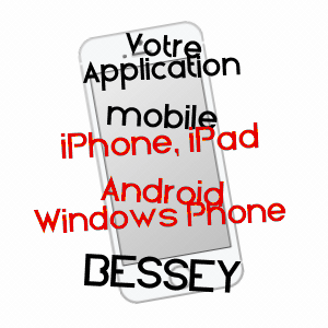 application mobile à BESSEY / LOIRE