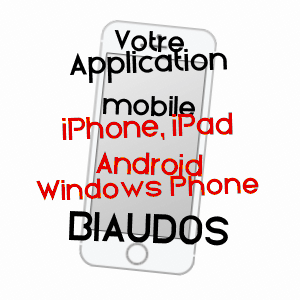application mobile à BIAUDOS / LANDES