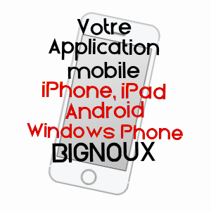 application mobile à BIGNOUX / VIENNE