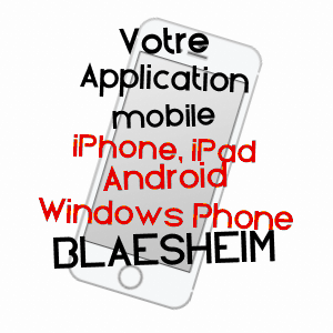 application mobile à BLAESHEIM / BAS-RHIN