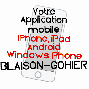 application mobile à BLAISON-GOHIER / MAINE-ET-LOIRE