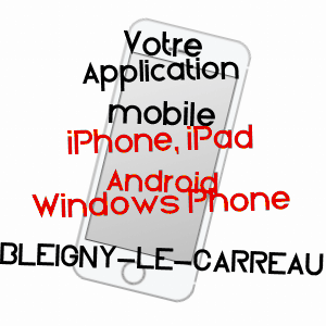 application mobile à BLEIGNY-LE-CARREAU / YONNE