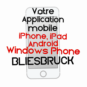 application mobile à BLIESBRUCK / MOSELLE