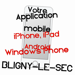 application mobile à BLIGNY-LE-SEC / CôTE-D'OR