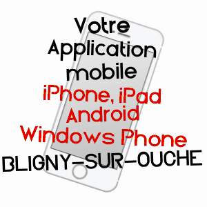 application mobile à BLIGNY-SUR-OUCHE / CôTE-D'OR