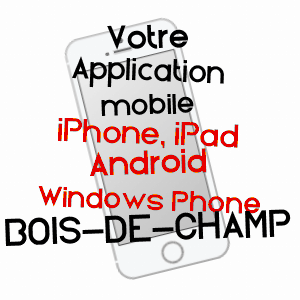 application mobile à BOIS-DE-CHAMP / VOSGES