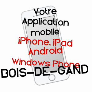 application mobile à BOIS-DE-GAND / JURA