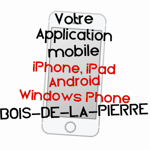application mobile à BOIS-DE-LA-PIERRE / HAUTE-GARONNE