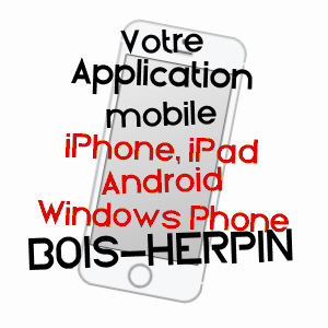 application mobile à BOIS-HERPIN / ESSONNE
