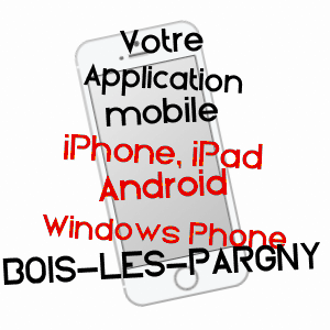 application mobile à BOIS-LèS-PARGNY / AISNE
