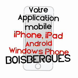 application mobile à BOISBERGUES / SOMME