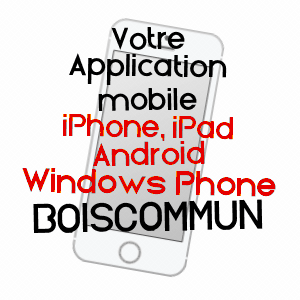 application mobile à BOISCOMMUN / LOIRET