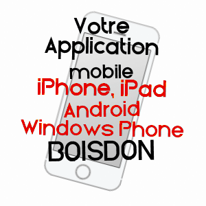 application mobile à BOISDON / SEINE-ET-MARNE