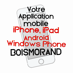 application mobile à BOISMORAND / LOIRET