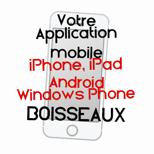 application mobile à BOISSEAUX / LOIRET