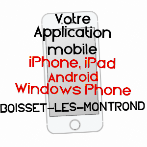 application mobile à BOISSET-LèS-MONTROND / LOIRE
