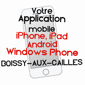 application mobile à BOISSY-AUX-CAILLES / SEINE-ET-MARNE