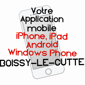application mobile à BOISSY-LE-CUTTé / ESSONNE