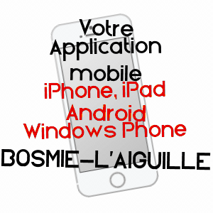 application mobile à BOSMIE-L'AIGUILLE / HAUTE-VIENNE