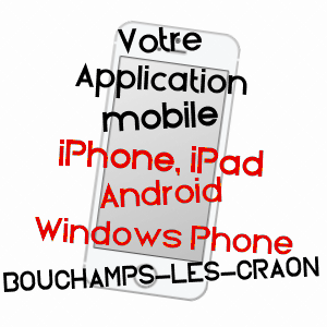 application mobile à BOUCHAMPS-LèS-CRAON / MAYENNE