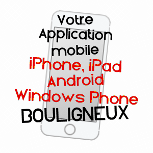 application mobile à BOULIGNEUX / AIN