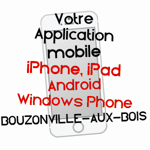 application mobile à BOUZONVILLE-AUX-BOIS / LOIRET
