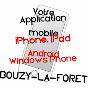 application mobile à BOUZY-LA-FORêT / LOIRET