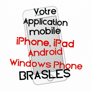 application mobile à BRASLES / AISNE