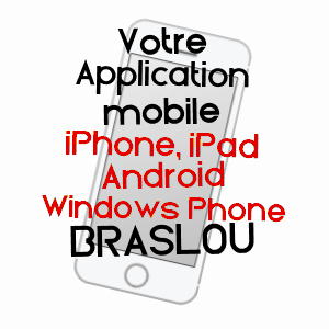 application mobile à BRASLOU / INDRE-ET-LOIRE