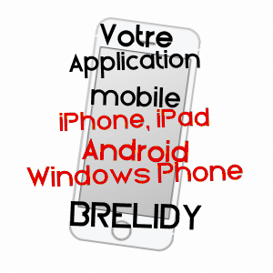 application mobile à BRéLIDY / CôTES-D'ARMOR