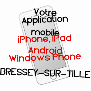 application mobile à BRESSEY-SUR-TILLE / CôTE-D'OR