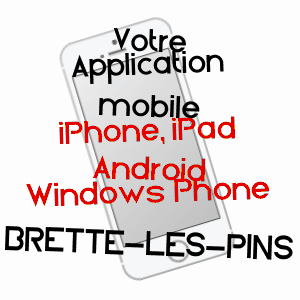 application mobile à BRETTE-LES-PINS / SARTHE