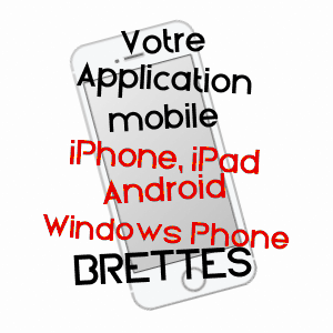application mobile à BRETTES / CHARENTE