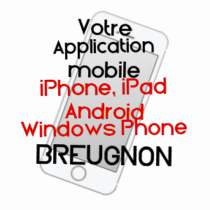 application mobile à BREUGNON / NIèVRE